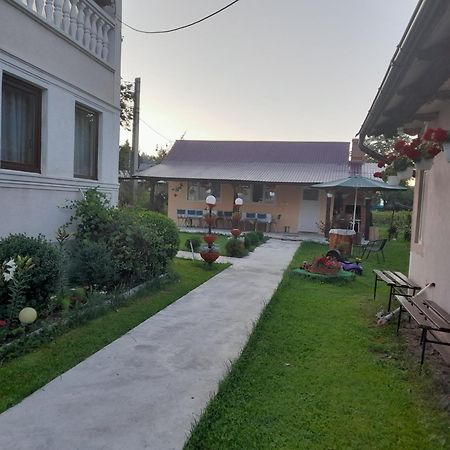 Casa Ionescu Hotel Sadova  Exterior photo
