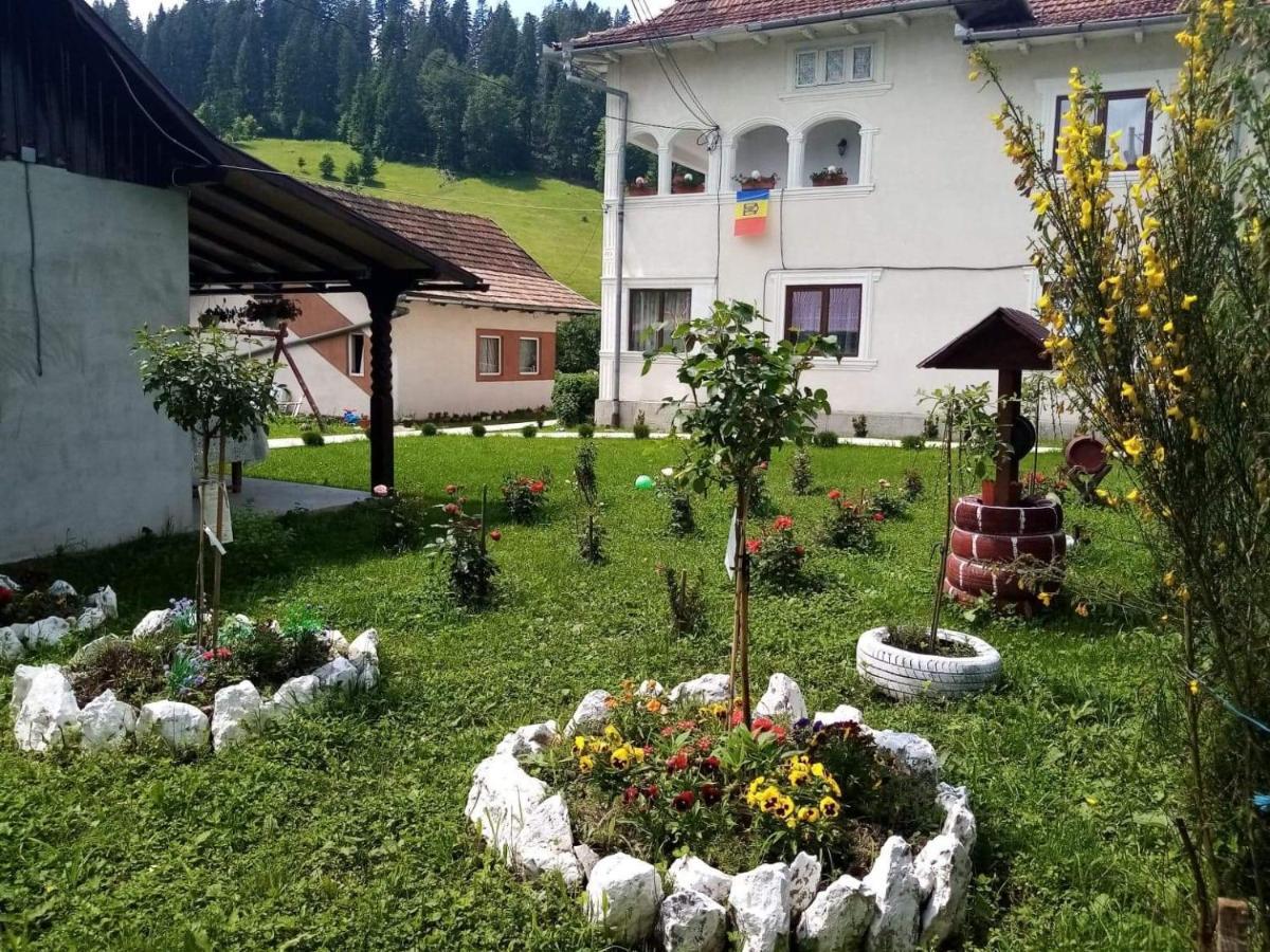 Casa Ionescu Hotel Sadova  Exterior photo