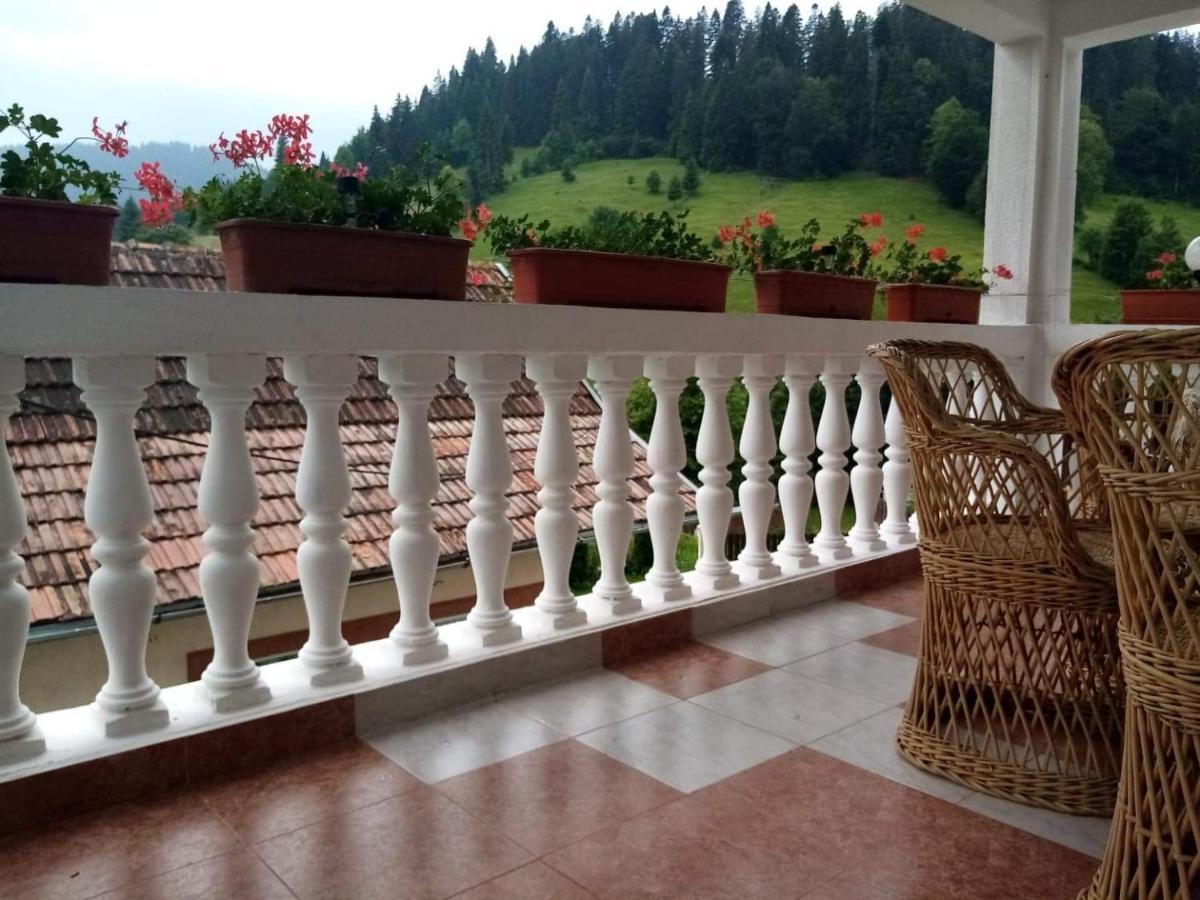 Casa Ionescu Hotel Sadova  Exterior photo
