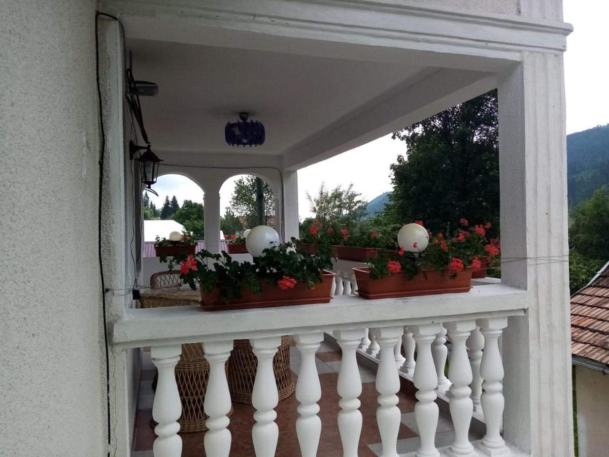 Casa Ionescu Hotel Sadova  Exterior photo