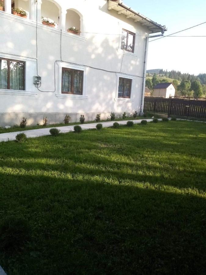 Casa Ionescu Hotel Sadova  Exterior photo