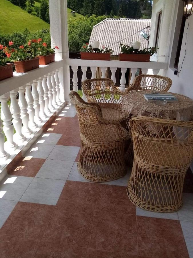 Casa Ionescu Hotel Sadova  Exterior photo