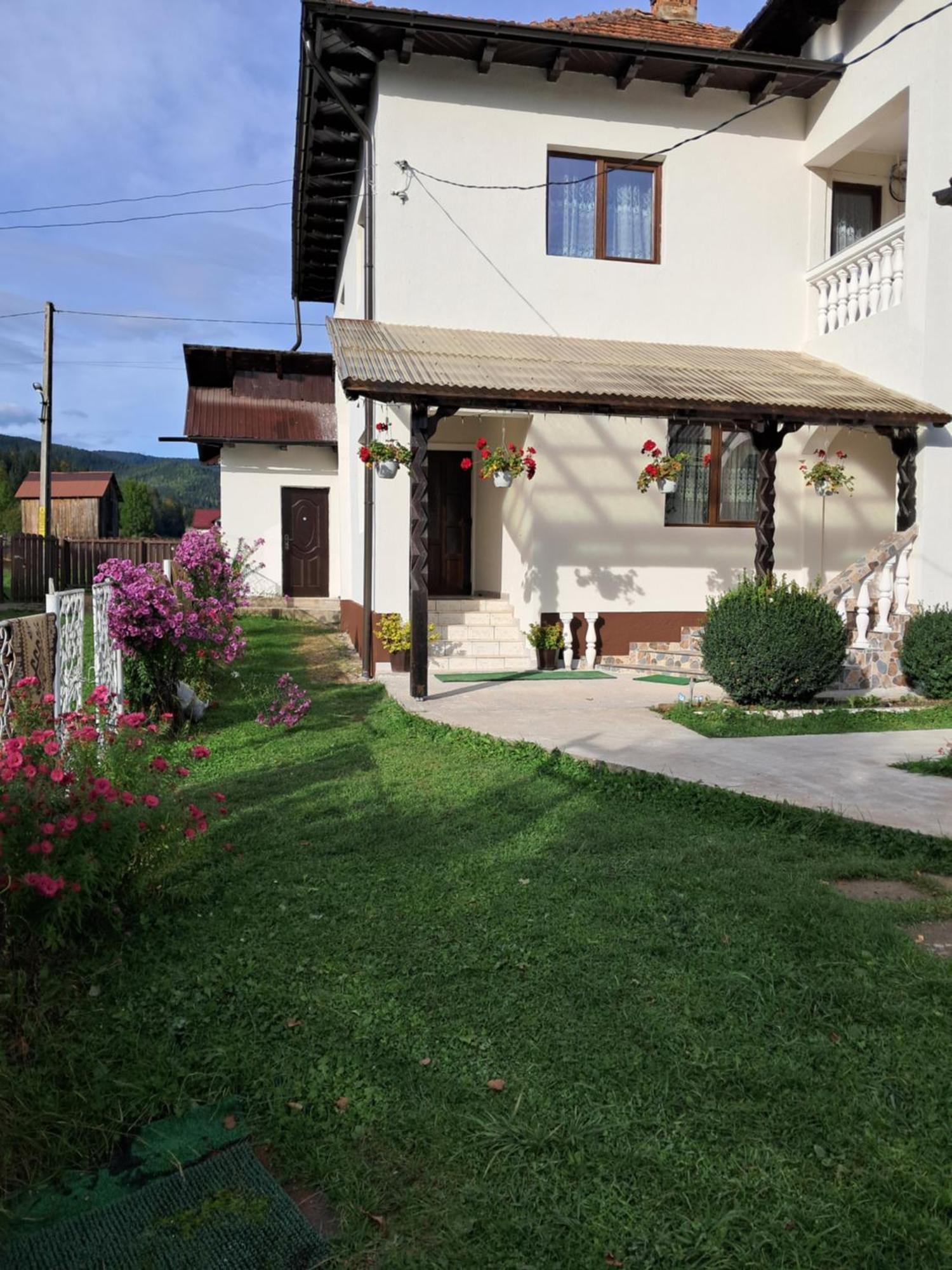 Casa Ionescu Hotel Sadova  Exterior photo